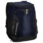 fastpitch-equipment-bags
