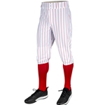 triple-crown-2-0-pinstripe-knicker