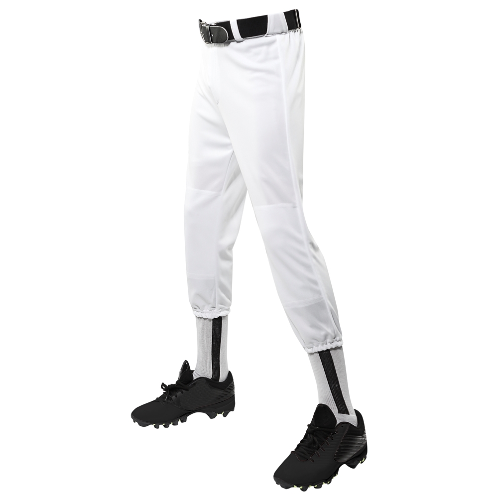Champro Sports Boys Baseball Pants Size Youth Large — Family Tree Resale 1