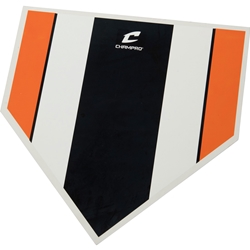 The Zone Training Home Plate