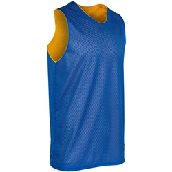 Buy Youth Zone Reversible Basketball Jersey by Champro Sports